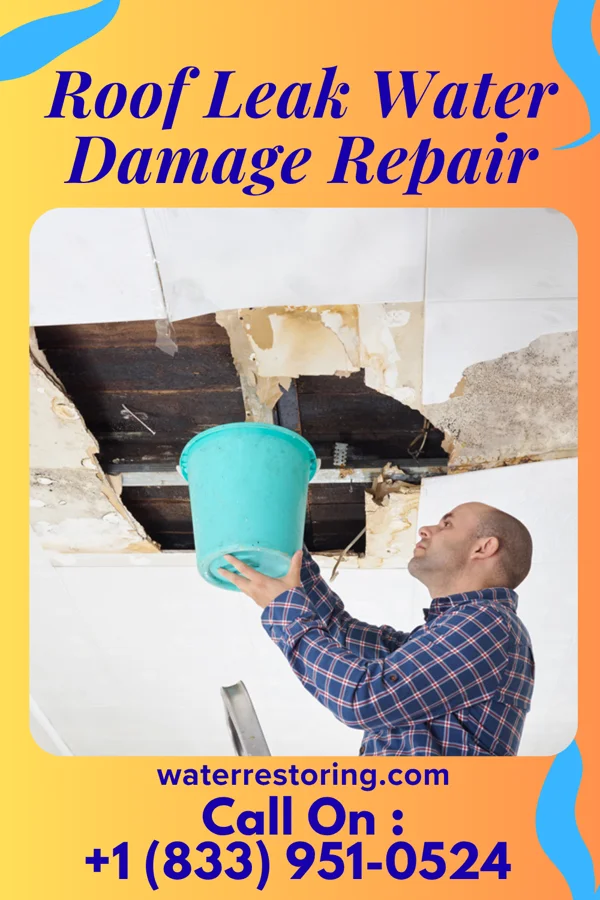 Roof Leak Water Damage Repair in Crestview, NM